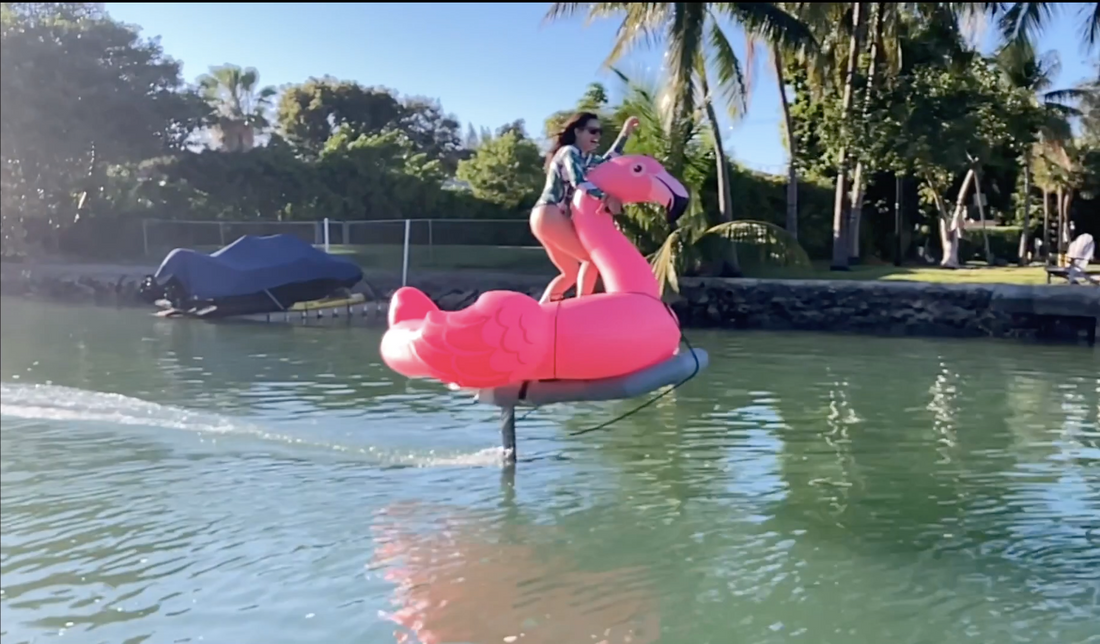 Flying Flamingo Tamer Girl