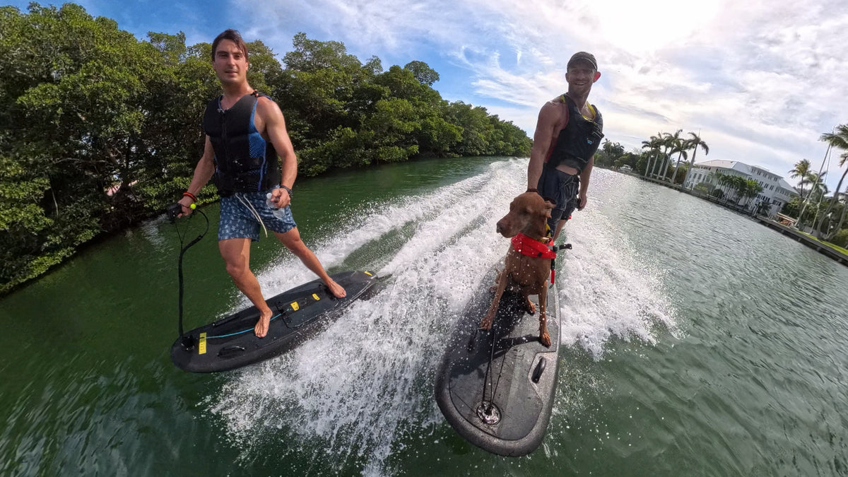 Two riders crossing Biscayne Bay on Moovi electric surfboards