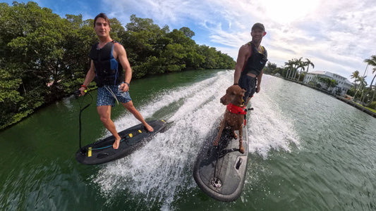 Two riders crossing Biscayne Bay on Moovi electric surfboards